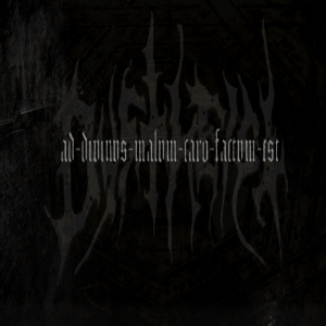 dystehist-ad-divinvs-malvm-caro-factvm-est-cover